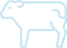 Cattle icon in blue