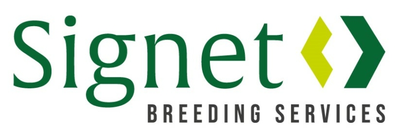 Signet