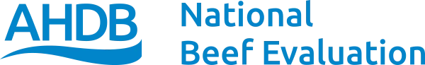 National Beef Evaluation Website